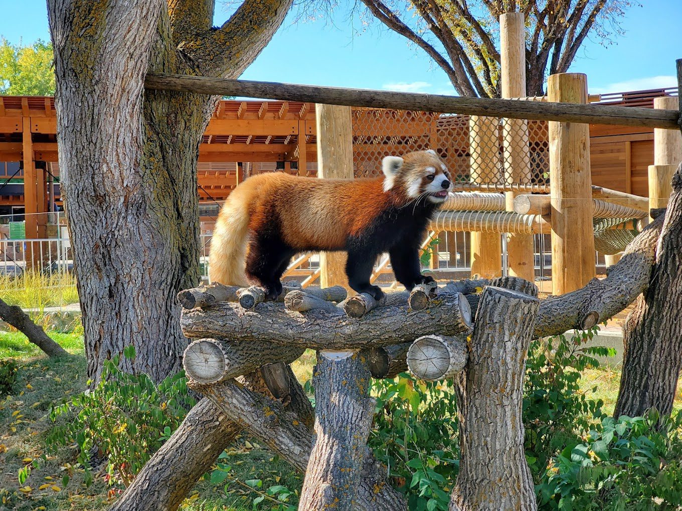Edmonton Valley Zoo