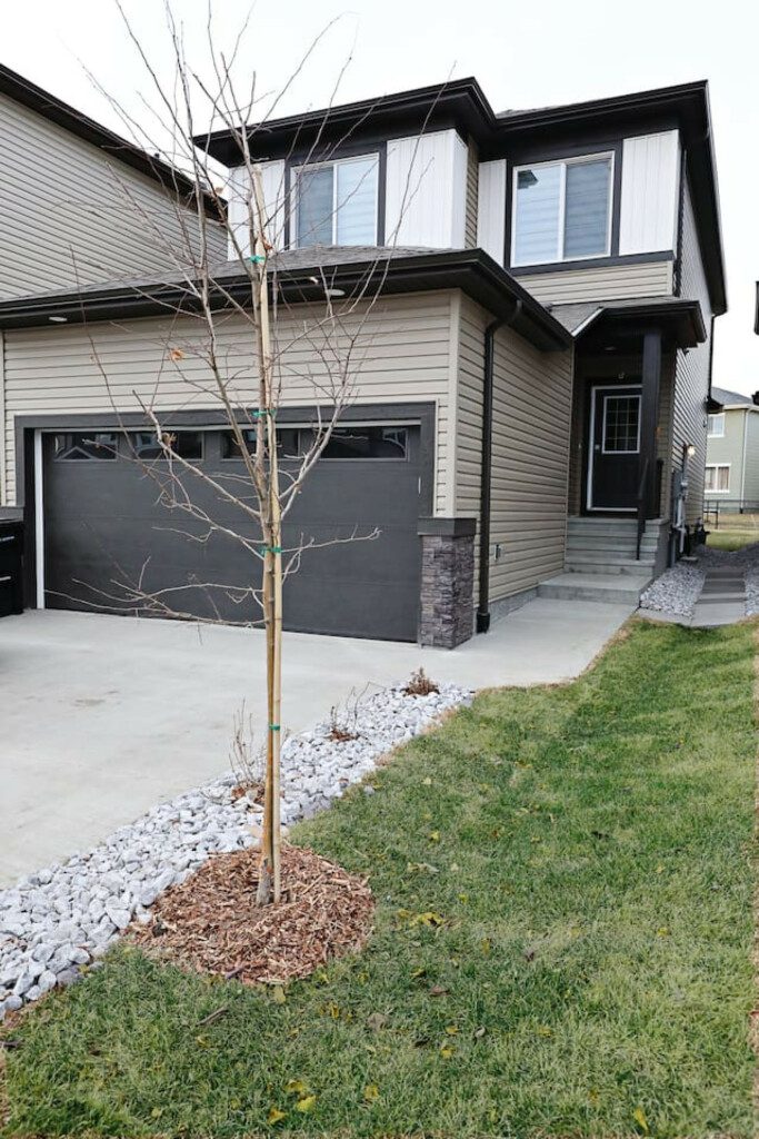 92130 238390 aG3fX7wUEFg MzUwdH5RCQK0efODnISWo02I1cvRTyM 65c12e77545e5.jpg